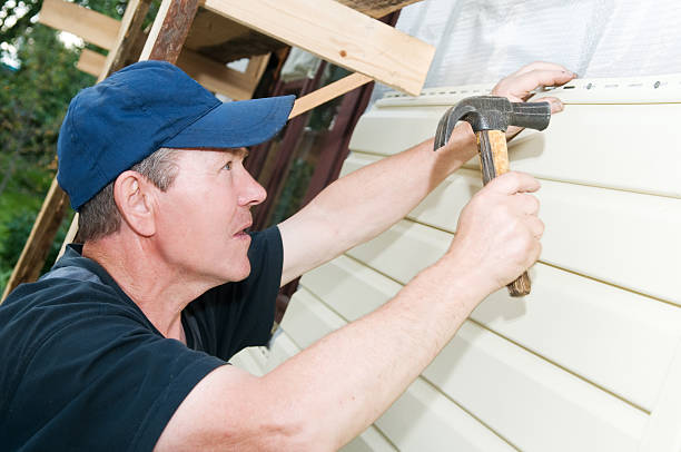 Best Steel Siding Installation  in Gilbert, AZ